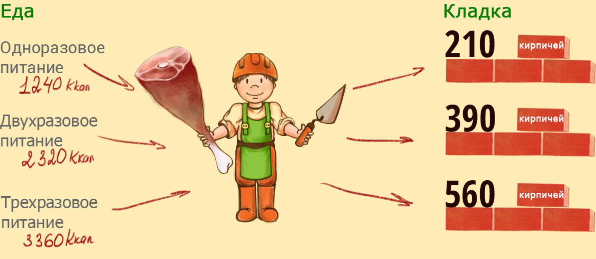 Каллорийность обеда